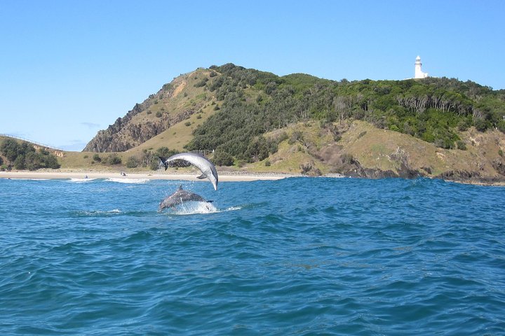 Kayaking with Dolphins in Byron Bay Guided Tour - Byron Bay Accommodation